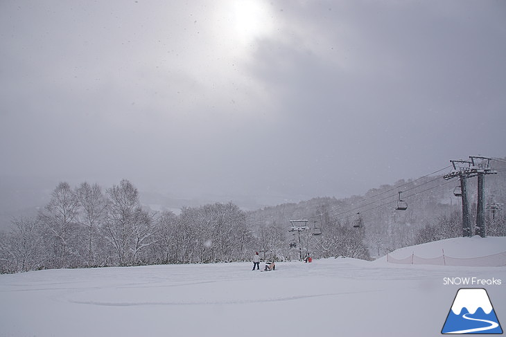 ルスツリゾート 早くも三山連結・総コース滑走距離 19.8㎞！そして、全コースパウダースノー♪